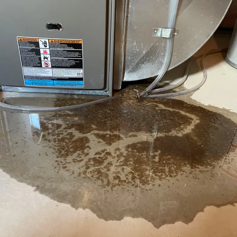 Appliance Leak Cleanup in Jackson Center, OH